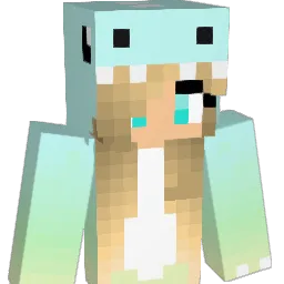 linny809 Minecraft avatar bust