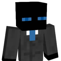 linsan77 Minecraft avatar bust