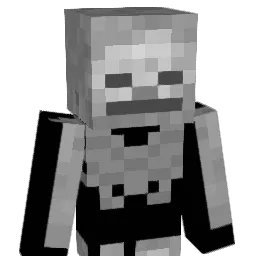 linx_13 Minecraft avatar bust