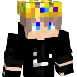 liorpro12 Minecraft avatar bust
