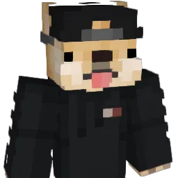 liozel's Minecraft skin