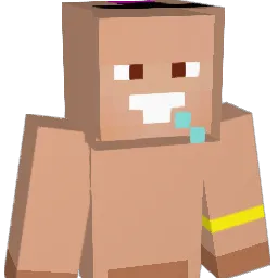 liptonek667 Minecraft avatar bust