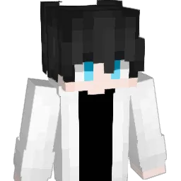 liqi006 Minecraft avatar bust