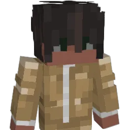 liran5556 Minecraft avatar bust