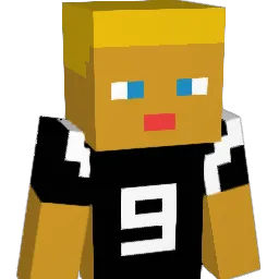 liran_the_pro Minecraft avatar bust
