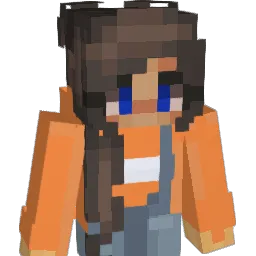 litbooks Minecraft avatar bust