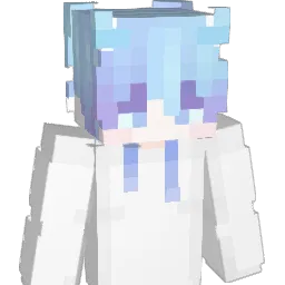 littlDolphin Minecraft avatar bust