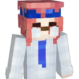 little_squids Minecraft avatar bust