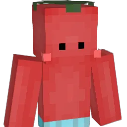 littletomato2004 Minecraft avatar bust