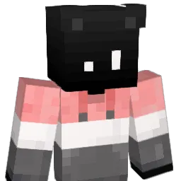 ljaewoo04 Minecraft avatar bust