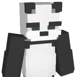 ljzcool12 Minecraft avatar bust