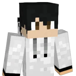 lk2014 Minecraft avatar bust