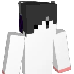 llIllIIlI Minecraft avatar bust