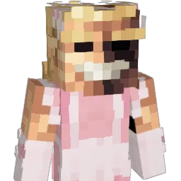 llZanzoonill's Minecraft skin