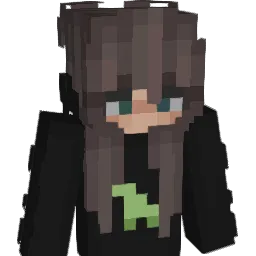 llamaameat Minecraft avatar bust
