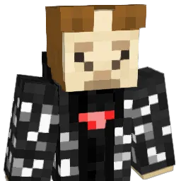 llamaboy99 Minecraft avatar bust