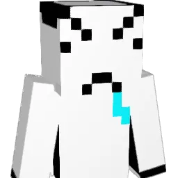 llles2 Minecraft avatar bust