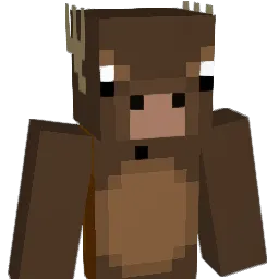 lloytron3 Minecraft avatar bust