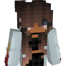 lmaozari's Minecraft skin