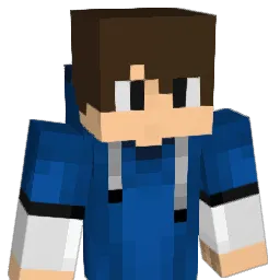 lminer1000 Minecraft avatar bust