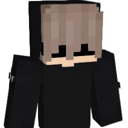 lol_12333 Minecraft avatar bust