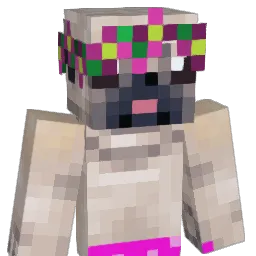 lollipop549 Minecraft avatar bust