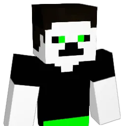 lolls3 Minecraft avatar bust