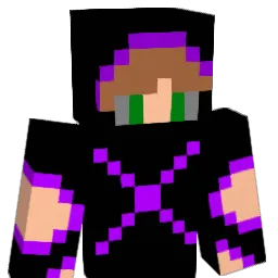 lone_army Minecraft avatar bust