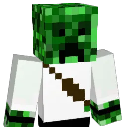 lonelyplayer9 Minecraft avatar bust