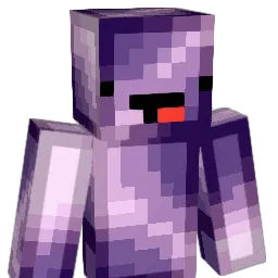 lor0803 Minecraft avatar bust