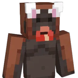 loser_cs's Minecraft skin