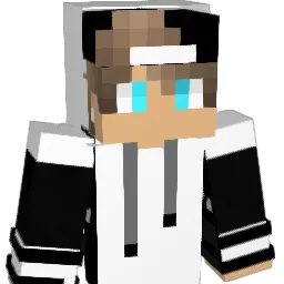 low2204 Minecraft avatar bust