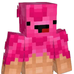 lowercaserob's Minecraft skin