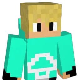 lpco3 Minecraft avatar bust