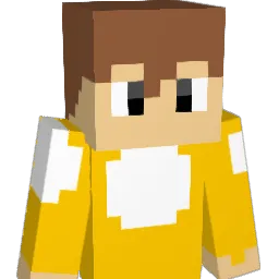lruim973 Minecraft avatar bust