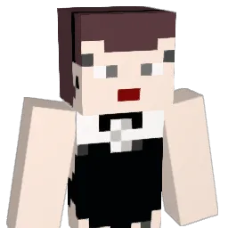 lsa438 Minecraft avatar bust