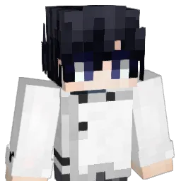 luasj's Minecraft skin