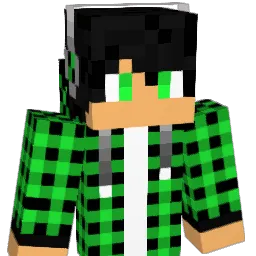 lucas101202 Minecraft avatar bust
