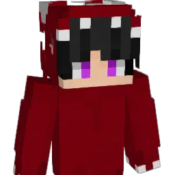 lucas2098 Minecraft avatar bust