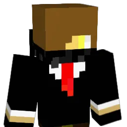 lucas990099 Minecraft avatar bust