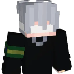 lucasbraga11_ Minecraft avatar bust