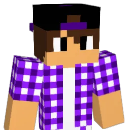 lucasisawesome24 Minecraft avatar bust