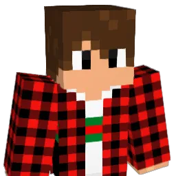 lucio1000 Minecraft avatar bust