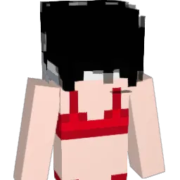 lucky0599 Minecraft avatar bust