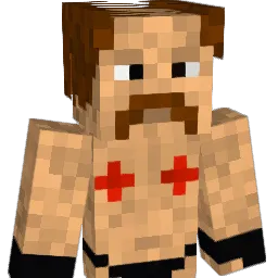 ludvig7895 Minecraft avatar bust