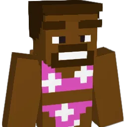 luh_12 Minecraft avatar bust