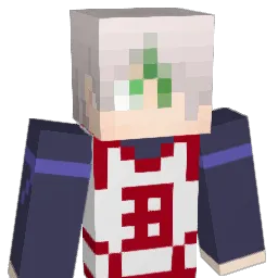 luxfero2233 Minecraft avatar bust