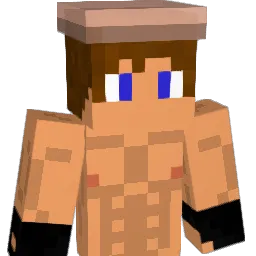 macxis234 Minecraft avatar bust