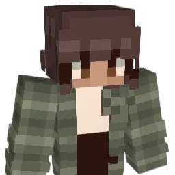 magni811 Minecraft avatar bust