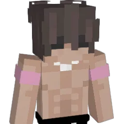 makiixoxo Minecraft avatar bust